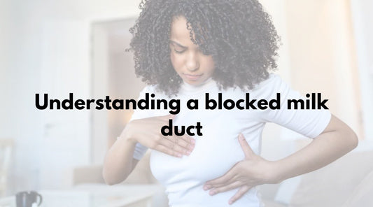 Understanding a blocked milk duct