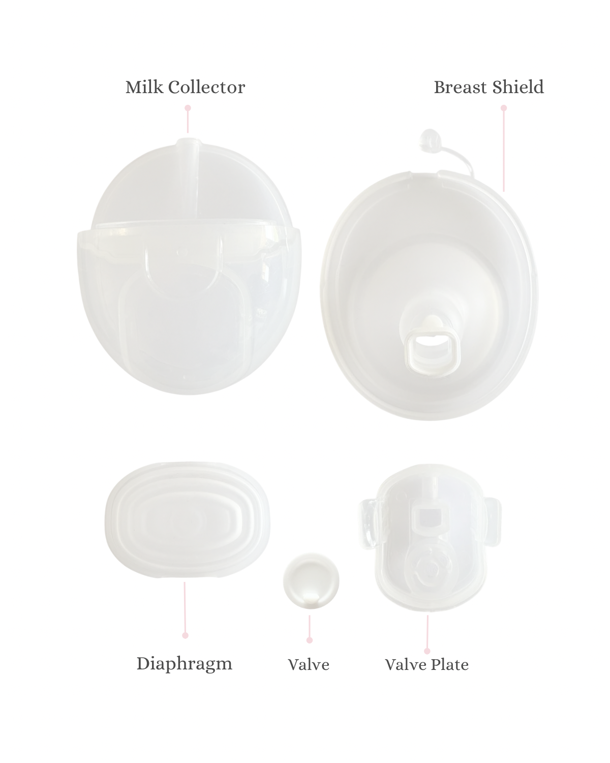 Milk Expression Cup Kit - Breast Shield, Valve & Collector Assembly for Stacy Wearable Breast Pump | Replacement Parts