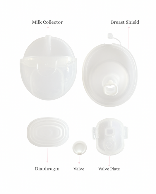Milk Expression Cup Kit - Breast Shield, Valve & Collector Assembly for Stacy Wearable Breast Pump | Replacement Parts